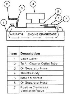 https://images.2carpros.com/forum/automotive_pictures/103836_escort_1.jpg