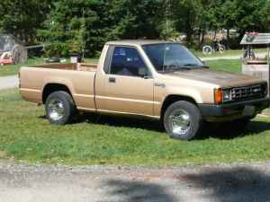 https://images.2carpros.com/forum/automotive_pictures/116129_dram_1.jpg