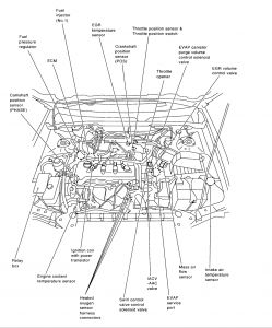 https://images.2carpros.com/forum/automotive_pictures/12900_ckp_2.jpg