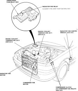 https://images.2carpros.com/forum/automotive_pictures/12900_f1_25.jpg