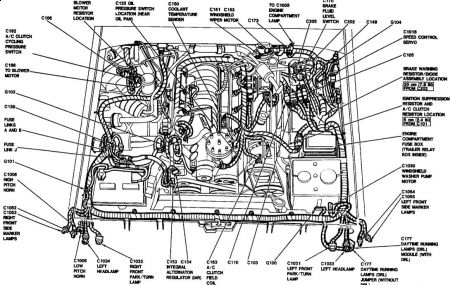 https://images.2carpros.com/forum/automotive_pictures/12900_oils_1.jpg