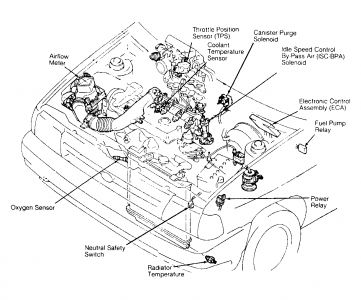 https://images.2carpros.com/forum/automotive_pictures/12900_telstar_1.jpg