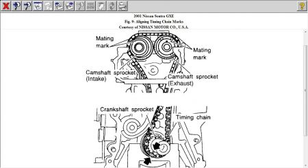 https://images.2carpros.com/forum/automotive_pictures/12900_timing_chain_4.jpg