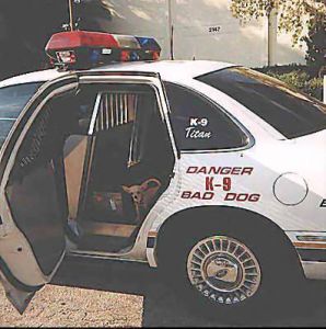 https://images.2carpros.com/forum/automotive_pictures/150997_pod_1.jpg