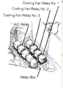 https://images.2carpros.com/forum/automotive_pictures/188069_89maximaRadfanrelays_1.jpg