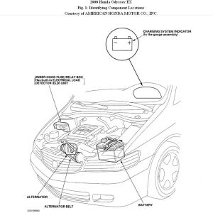 https://images.2carpros.com/forum/automotive_pictures/192750_AlternatorComp00OdysseyFig01_1.jpg