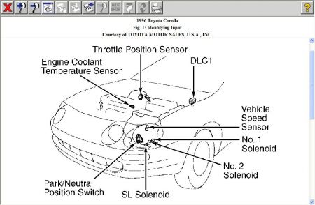 https://images.2carpros.com/forum/automotive_pictures/192750_Comp96Corolla01_1.jpg