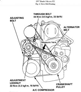 https://images.2carpros.com/forum/automotive_pictures/192750_DriveBelt97OdysseyFig04_1.jpg