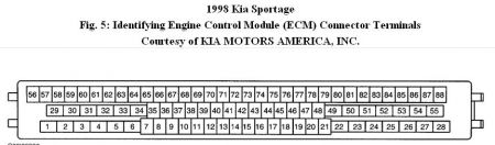 https://images.2carpros.com/forum/automotive_pictures/192750_PCMConnector98SportageFig05_2.jpg
