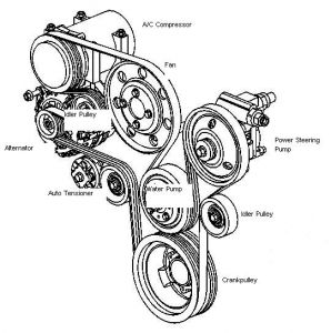 https://images.2carpros.com/forum/automotive_pictures/192750_SerpentineBelt01C6500_2.jpg