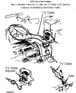 https://images.2carpros.com/forum/automotive_pictures/192750_TVCable90LuminaFig01_1.jpg