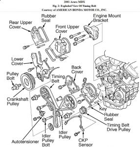 https://images.2carpros.com/forum/automotive_pictures/192750_TimingBelt01MDXFig02_2.jpg