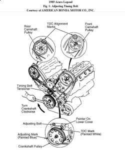 https://images.2carpros.com/forum/automotive_pictures/192750_TimingBelt89LegendFig01a_1.jpg