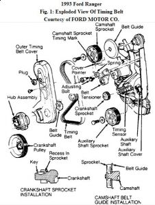 https://images.2carpros.com/forum/automotive_pictures/192750_TimingBelt93FordRanger01_1.jpg