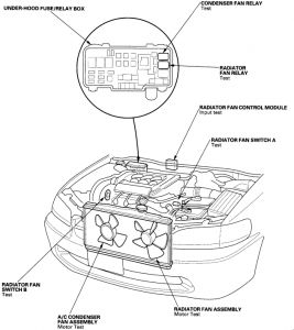 https://images.2carpros.com/forum/automotive_pictures/248015_1_139.jpg