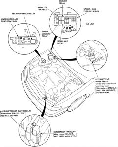 https://images.2carpros.com/forum/automotive_pictures/248015_Fan_1_1.jpg