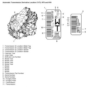 https://images.2carpros.com/forum/automotive_pictures/248015_Saturn_3_1.jpg