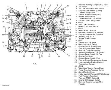 https://images.2carpros.com/forum/automotive_pictures/266999_iggy_1.jpg