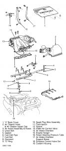 https://images.2carpros.com/forum/automotive_pictures/266999_sien_1.jpg