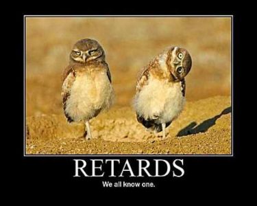https://images.2carpros.com/forum/automotive_pictures/286555_retards_1.jpg