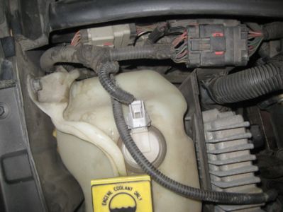 https://images.2carpros.com/forum/automotive_pictures/307704_motor_1_1.jpg
