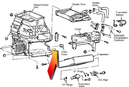 https://images.2carpros.com/forum/automotive_pictures/30961_evapdrain_1.jpg