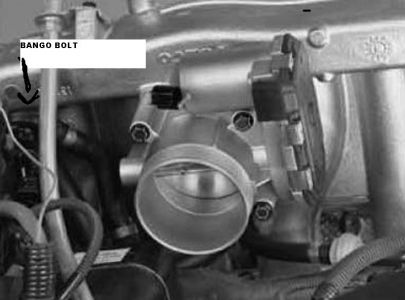 https://images.2carpros.com/forum/automotive_pictures/337695_banjo_1.jpg
