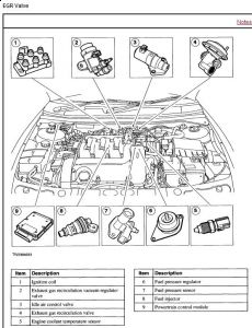 https://images.2carpros.com/forum/automotive_pictures/418583_2000_Cougar_EGR_2.jpg