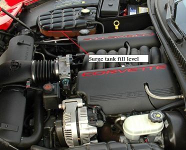 https://images.2carpros.com/forum/automotive_pictures/435113_tank_1.jpg