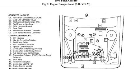 https://images.2carpros.com/forum/automotive_pictures/512072_century_fuel_pump_relay_1.jpg