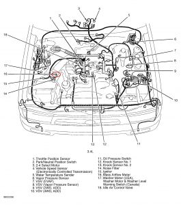 https://images.2carpros.com/forum/automotive_pictures/55316_004runner_1.jpg