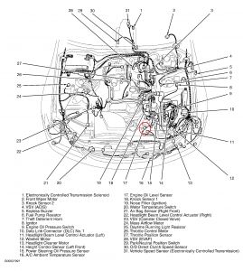https://images.2carpros.com/forum/automotive_pictures/55316_01is300hood_1.jpg