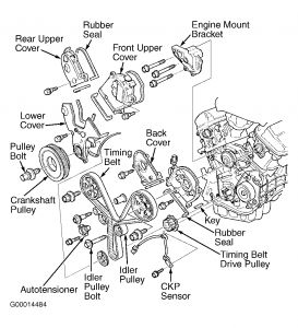 https://images.2carpros.com/forum/automotive_pictures/55316_04mdxtimingbelt_2.jpg