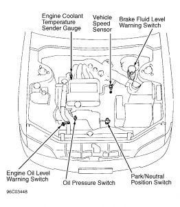 https://images.2carpros.com/forum/automotive_pictures/55316_96es300hood_1.jpg