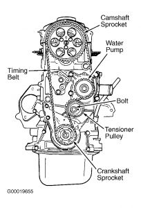 https://images.2carpros.com/forum/automotive_pictures/55316_stormtimingbelt_1.jpg