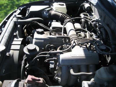 https://images.2carpros.com/forum/automotive_pictures/562724_ToyTacoma1995_1.jpg