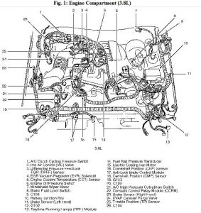 https://images.2carpros.com/forum/automotive_pictures/576_Mustang_2000_1.jpg