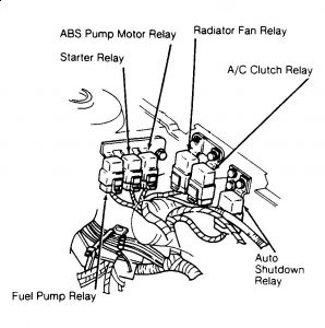 https://images.2carpros.com/forum/automotive_pictures/61395_relay_2.jpg