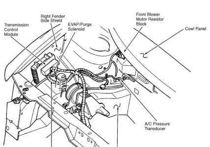 https://images.2carpros.com/forum/automotive_pictures/62217_bmr_2.jpg