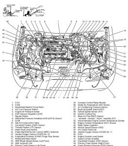 https://images.2carpros.com/forum/automotive_pictures/99387_escort97_1.jpg