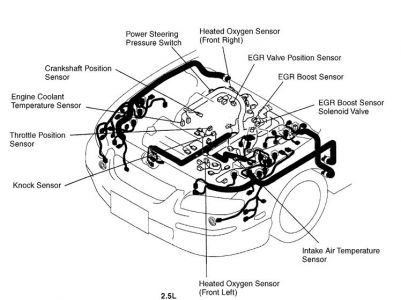 https://images.2carpros.com/forum/automotive_pictures/99387_maz_1.jpg