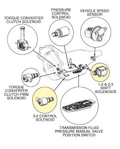 https://images.2carpros.com/forum/automotive_pictures/99387_tranny_2.jpg