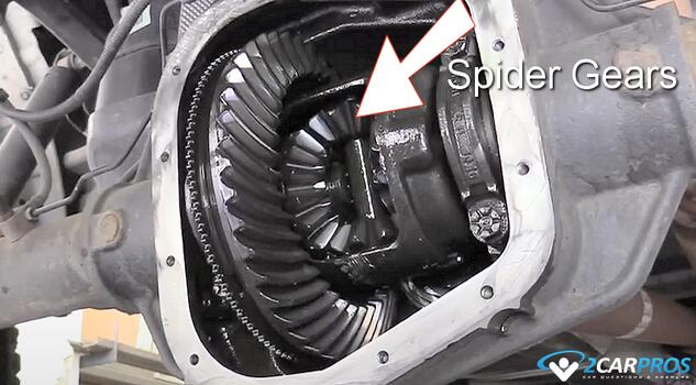 automotive differential spider gears