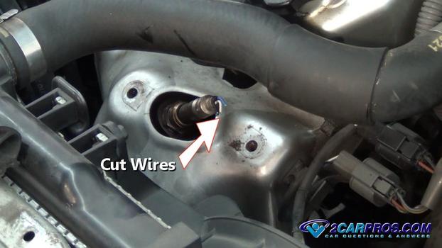 cutt wires o2 sensor