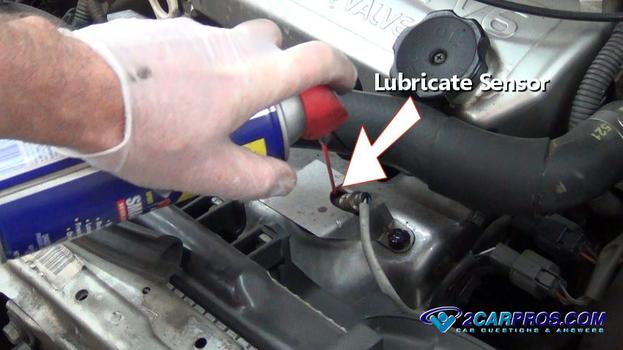 lube o2 sensor