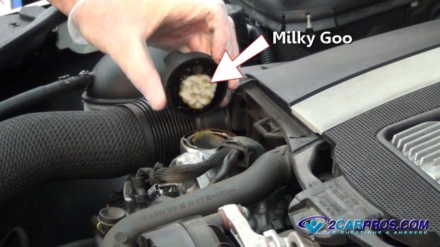 milky goo from blown cylinder head gasket
