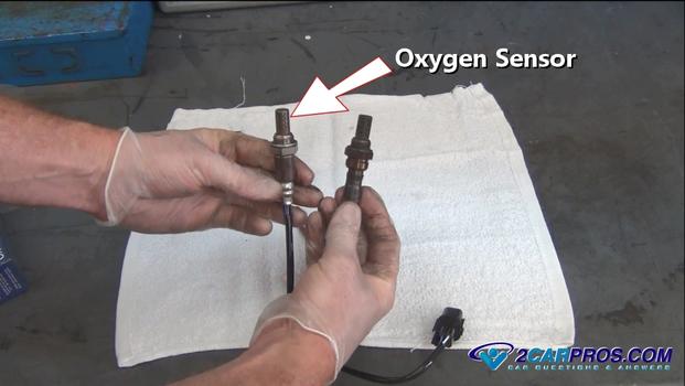 oxygen sensor