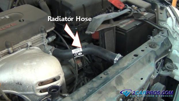 radiator hose