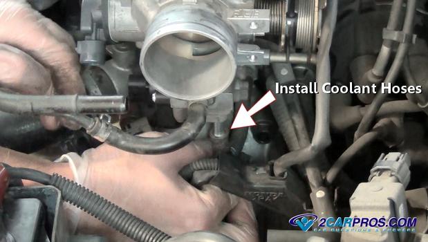 reinstall coolant hoses
