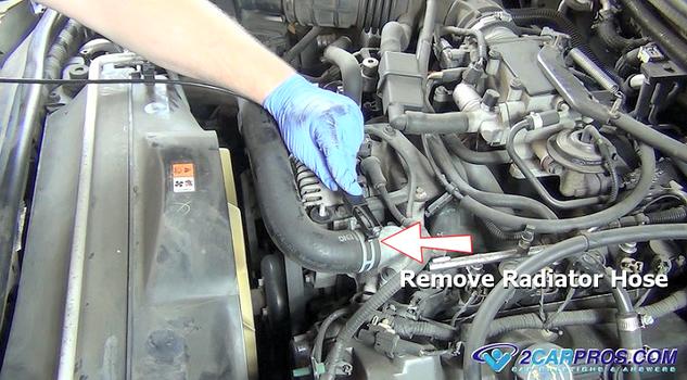 remove radiator hose upper